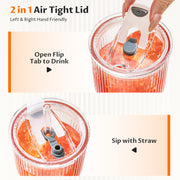 VA1KENE 20oz Glass Tumbler with Straw and Lid Leakproof Glass Cups for Iced Coffee, Juice, Tea, Smoothies, Beer Clear 2 Pack